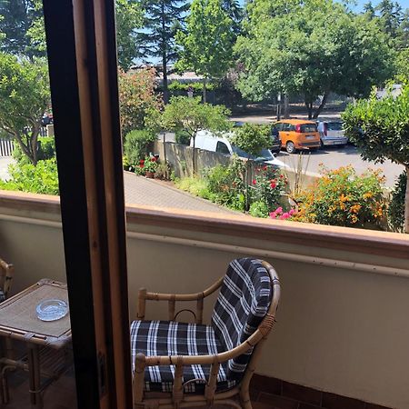 Guest House Benvenuti - Casa Vacanze Toscana チェチナ エクステリア 写真